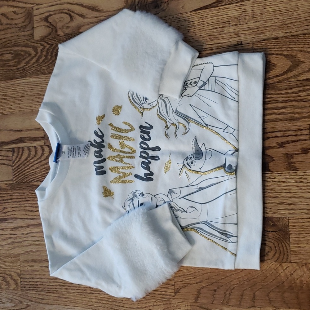 (2T) Frozen II Elsa and Anna Graphic Faux Fur Accents Disney Cozy Glitter